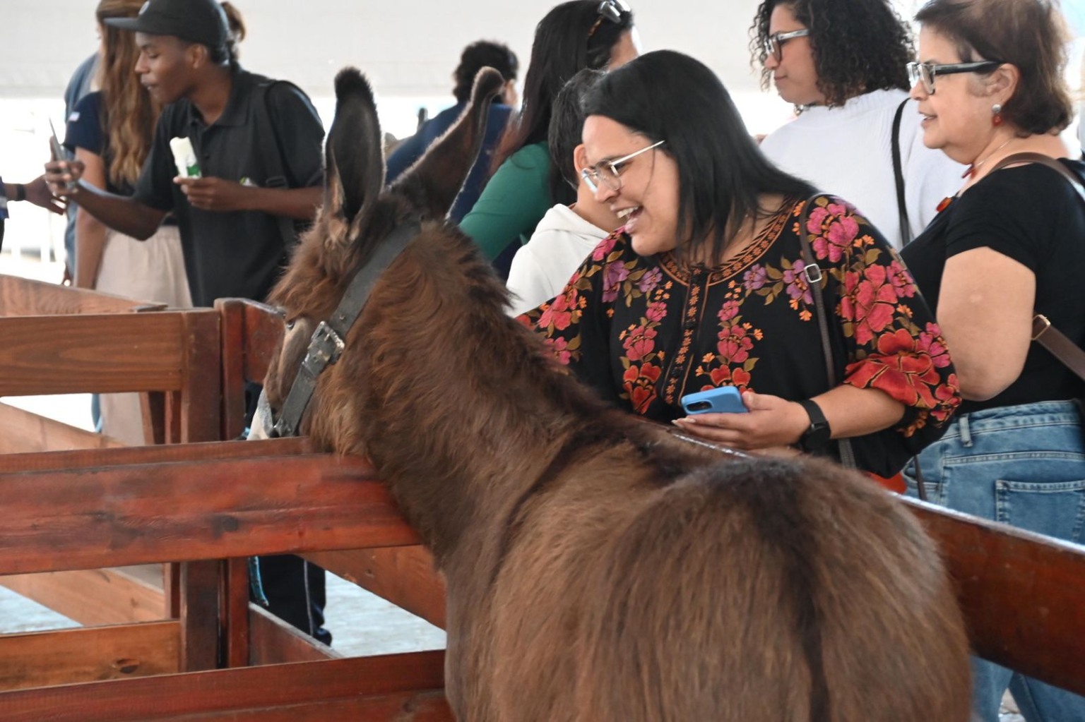 Feira dos municípios (Foto: Thiago Soares)