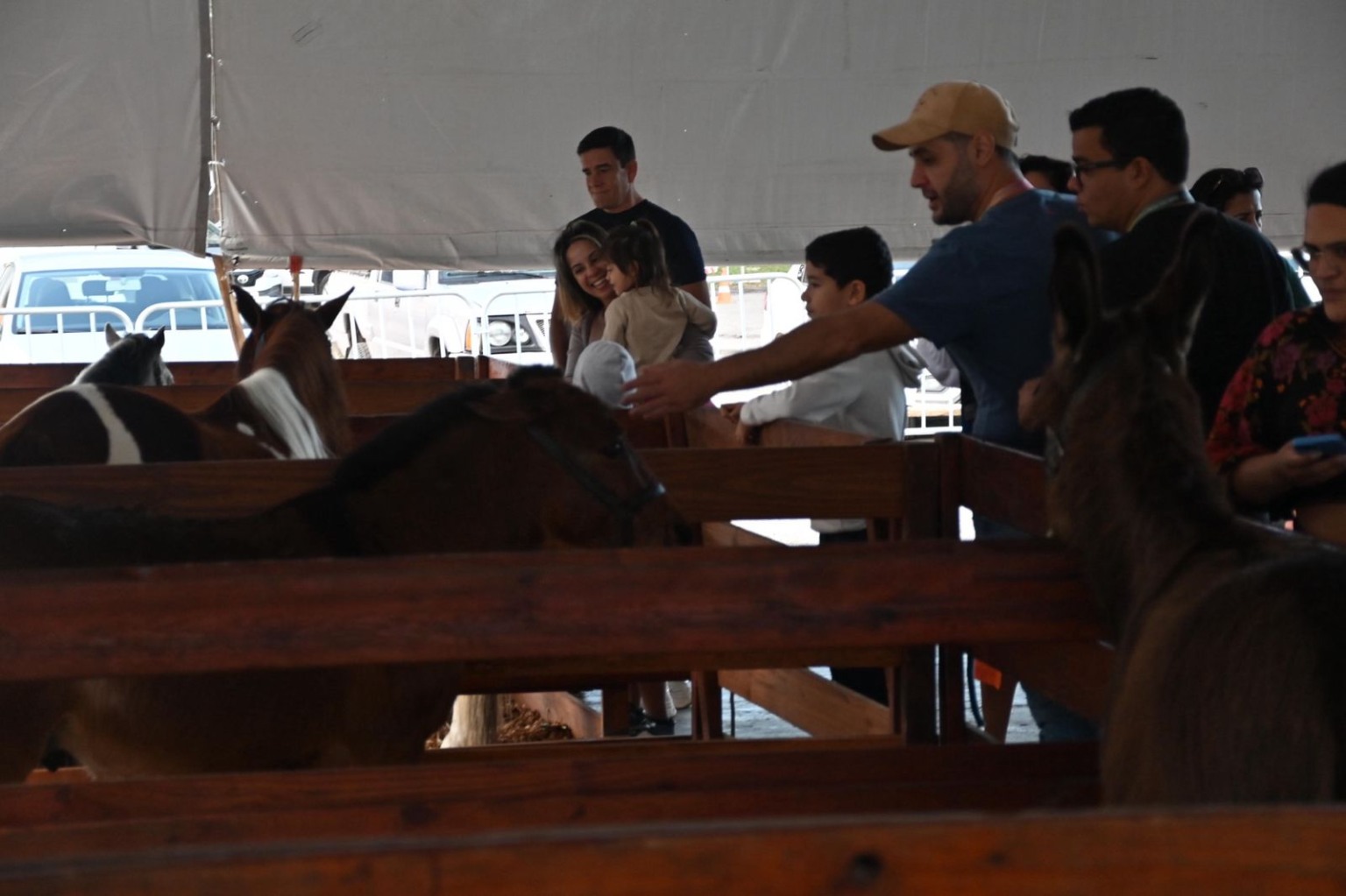Feira dos municípios (Foto: Thiago Soares)