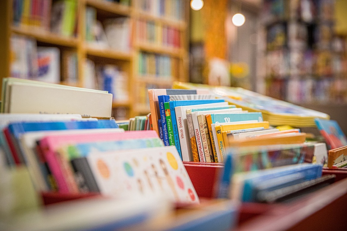 O rugido que vem dos livros: A educação como motor do Espírito Santo