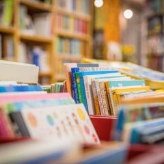 O rugido que vem dos livros: A educação como motor do Espírito Santo