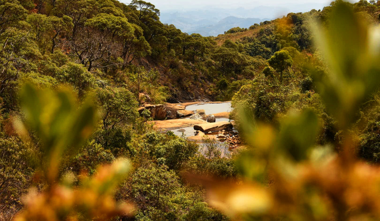Foto: Thiago Soares/Folha Vitória