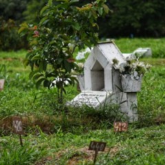 Foto: Thiago Soares/ Folha Vitória 