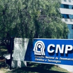 CNPq bolsa de doutorado