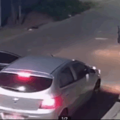 Foto: Polícia Civil/ Reprodução