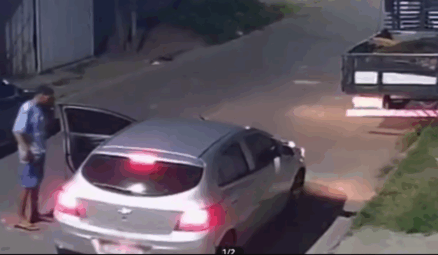 Foto: Polícia Civil/ Reprodução
