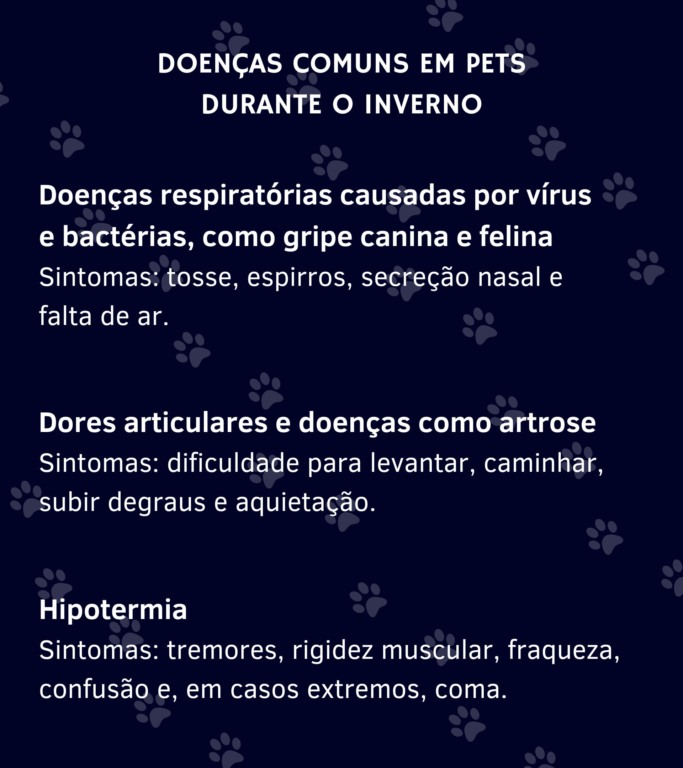 Infográfico: doenças de pets no inverno