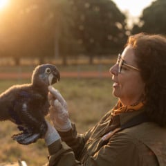 Pesquisadora Neiva Guedes do Instituto Arara azul desenvolvendo seu trabalho de pesquisa com a arara-azul-grande (Anodorhynchus hyacinthinus) no Pantanal. Foto: João Marcos Rosa/Nitro