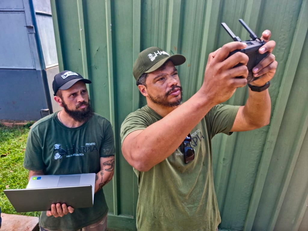 Monitoramento de ninhos de harpia com drone Professor Áureo Banhos e o pesquisador Paulo Quadros utilizam drone para monitorar ninhos de harpia na Mata Atlântica