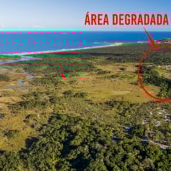 Vista aérea do Parque Estadual Paulo César Vinha, mostrando a vegetação de restinga e os contrastes do ecossistema litorâneo