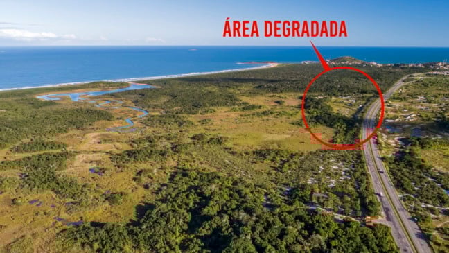 Vista aérea do Parque Estadual Paulo César Vinha, mostrando a vegetação de restinga e os contrastes do ecossistema litorâneo