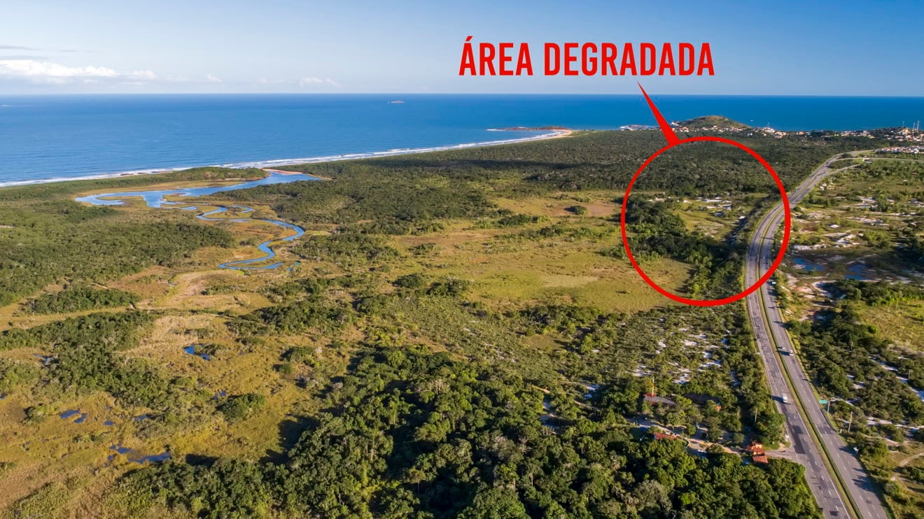 Vista aérea do Parque Estadual Paulo César Vinha, mostrando a vegetação de restinga e os contrastes do ecossistema litorâneo