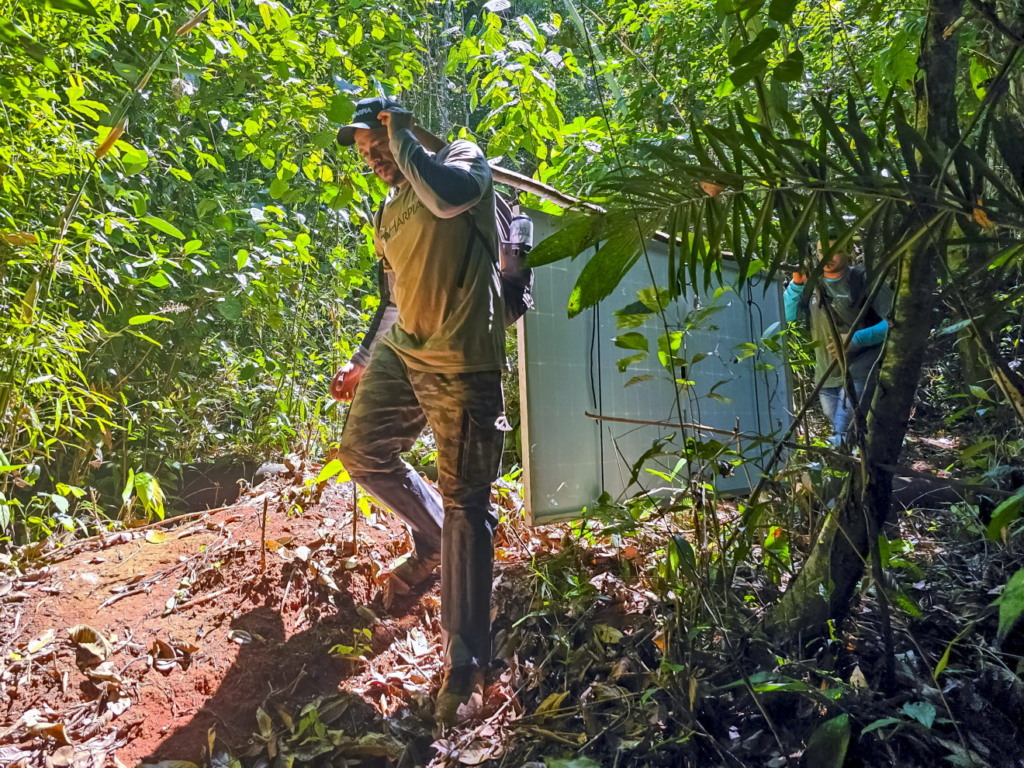 Pesquisadores em diferentes momentos das atividades de campo do Projeto Harpia