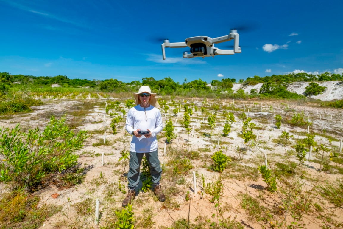 Pesquisador João Pedro Zanardo e sua equipe manuseiam mudas em área experimental de restauração.