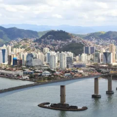 Espírito Santo: a onça que não ruge, mas lidera