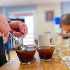 Concurso Conilon de Excelência Cooabriel quer eleger os melhores cafés conilon da safra 2025
