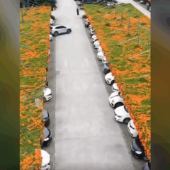 Como estacionamentos podem se tornar paraísos verdes