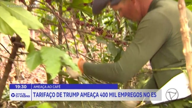 Café do Espírito Santo enfrenta desafios e oportunidades no mercado