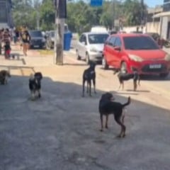 Foto: Reprodução/TV Vitória