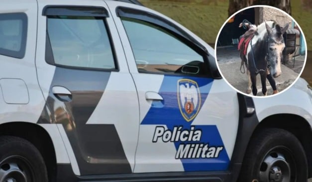 Foto: Thiago Soares/Folha Vitória e Arquivo Pessoal