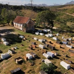 Foto: Thiago Soares/Folha Vitória