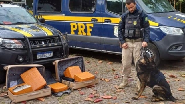 Apreensão de drogas (Foto/Divulgação: PRF)