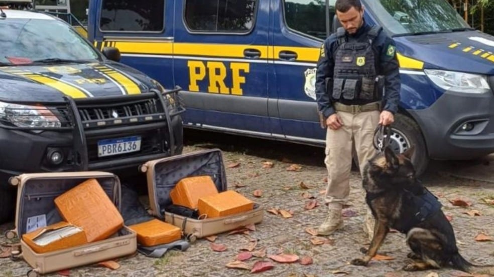 Apreensão de drogas (Foto/Divulgação: PRF)