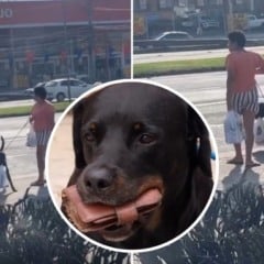 Foto; Reprodução TV Vitória