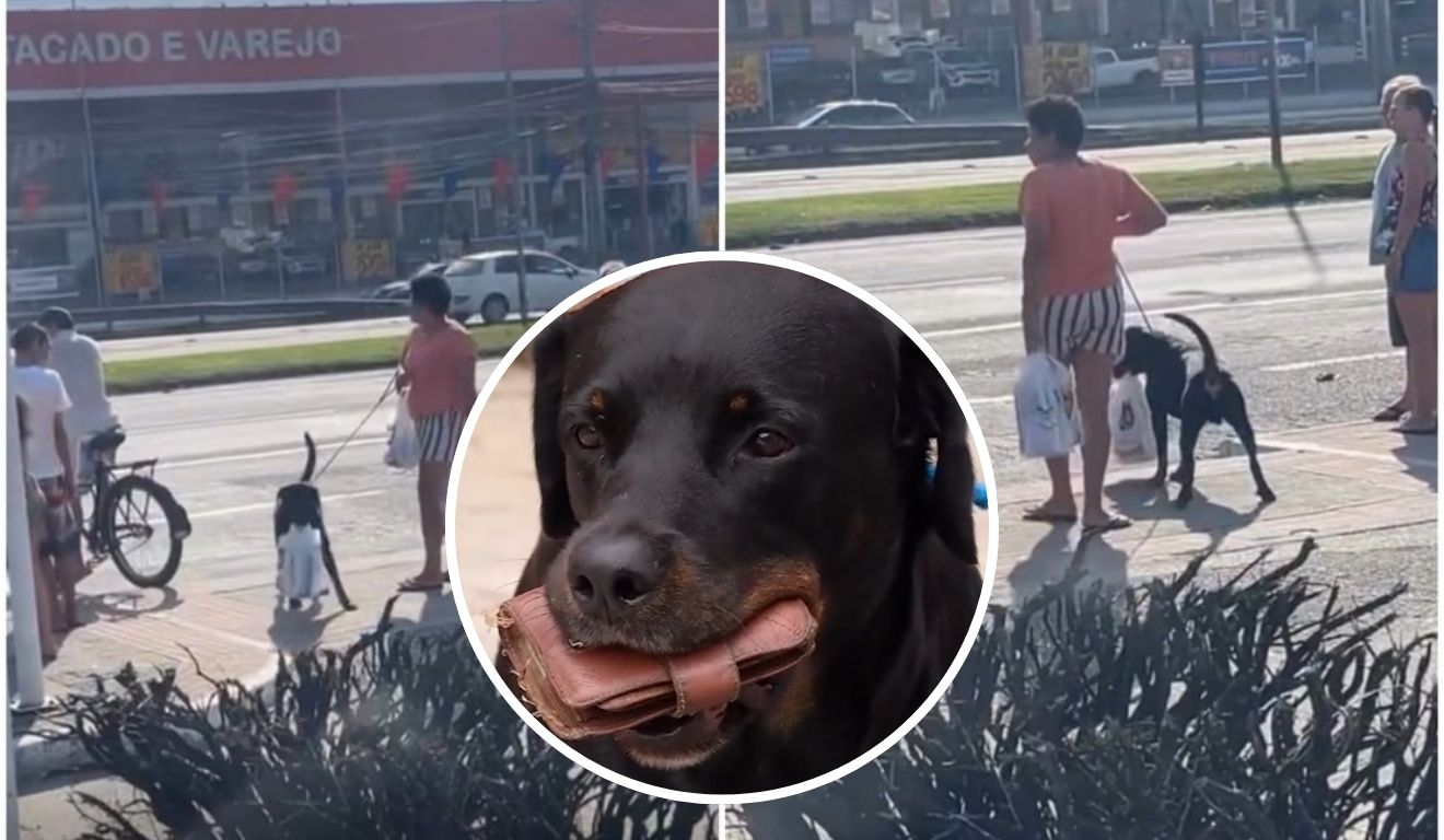 Imagem da matéria