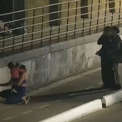 Foto: Divulgação/Guarda Municipal de Vitória