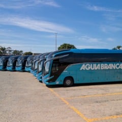 Ônibus Águia Branca