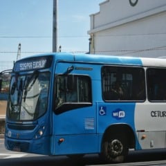 &Ocirc;nibus transcol -transporte coletivo