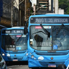 Ônibus transcol -transporte coletivo