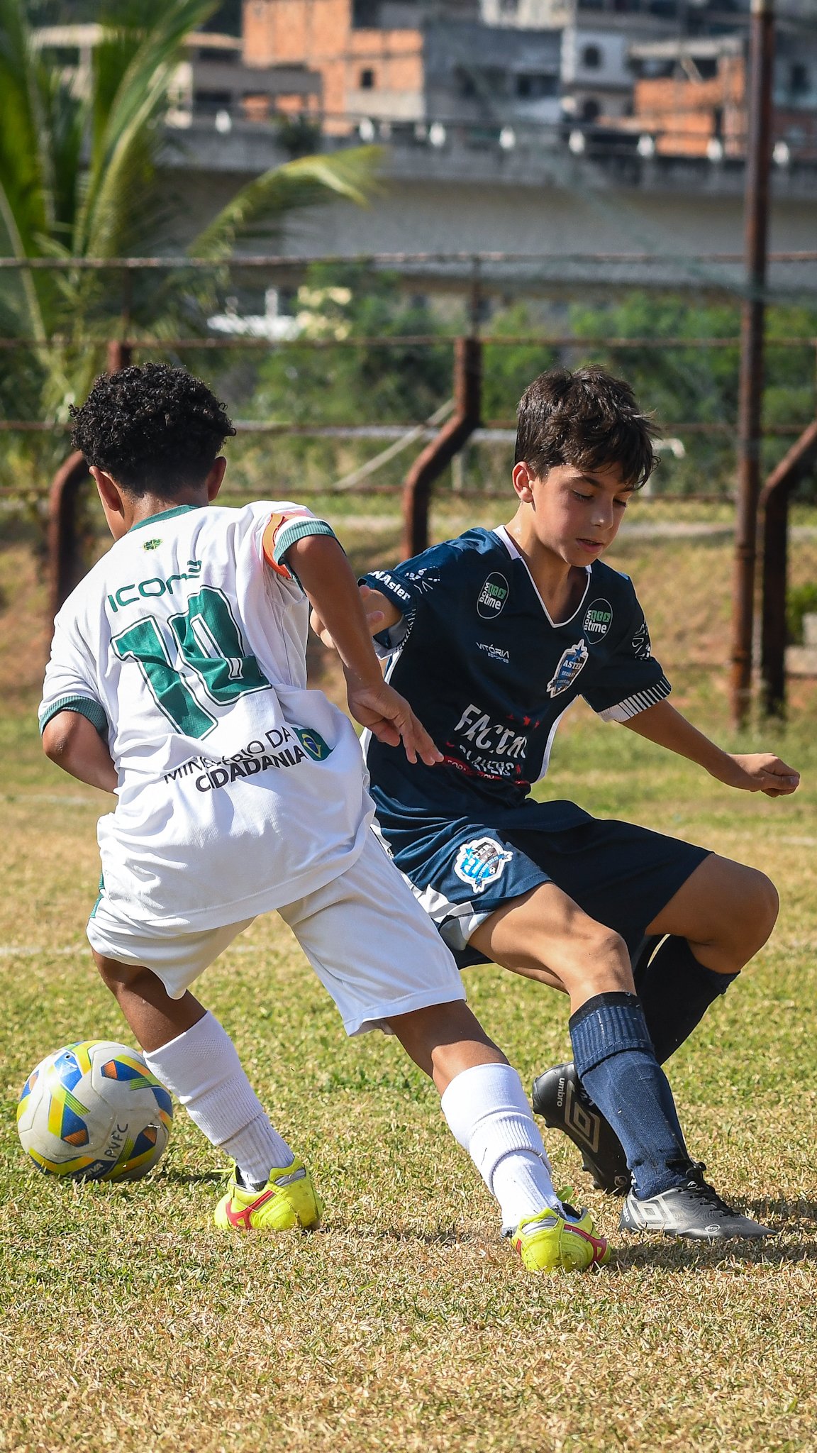 (Foto: Henrique Montovanelli/FES)