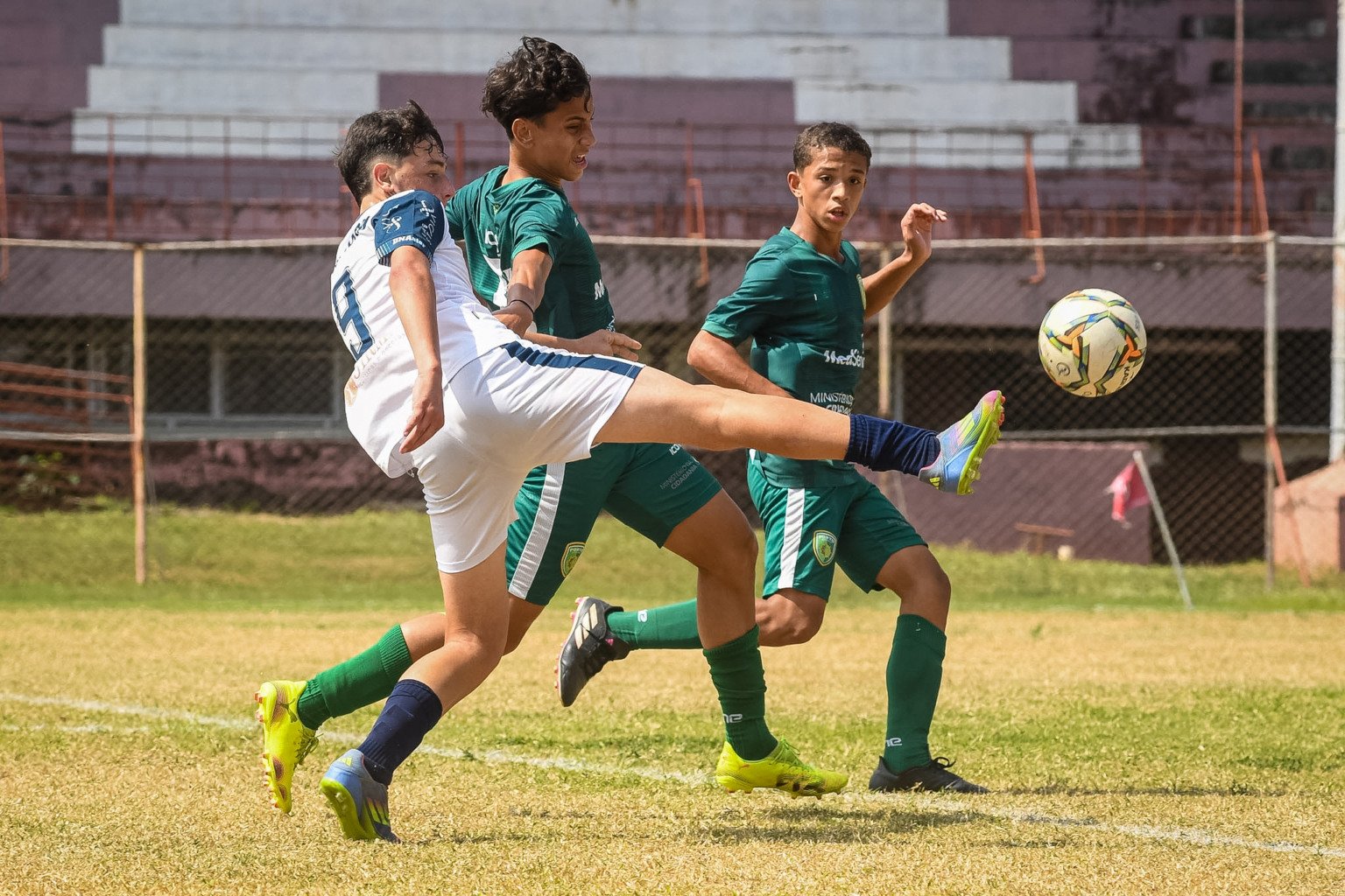 (Foto: Henrique Montovanelli/FES)
