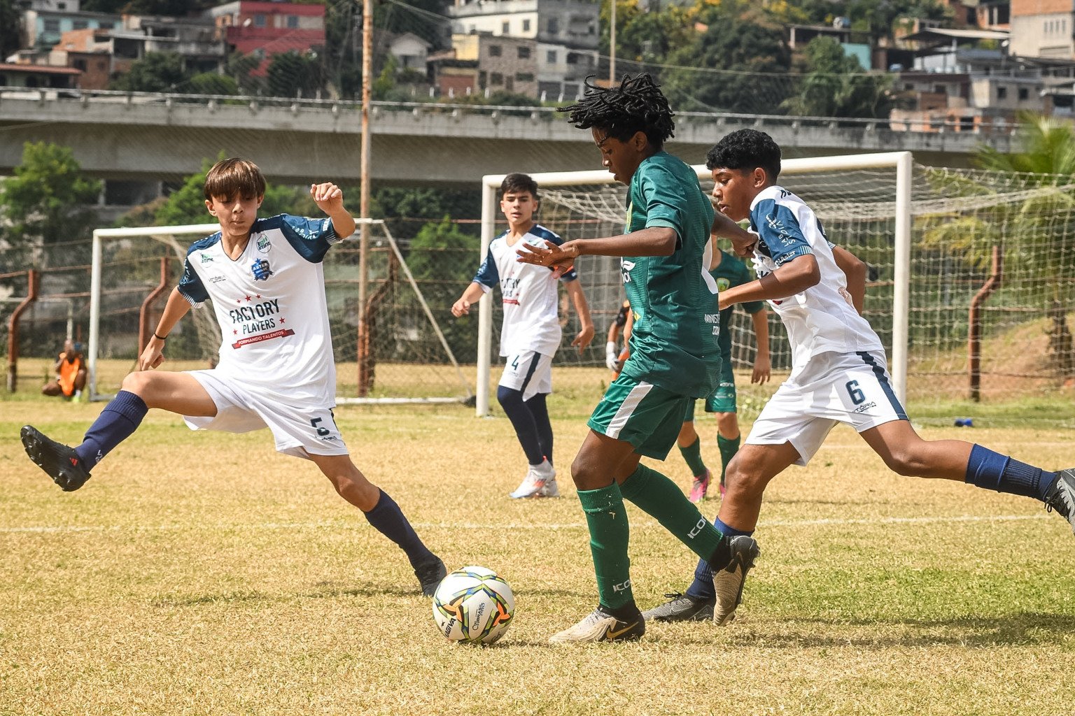 (Foto: Henrique Montovanelli/FES)