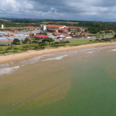 Entre os serviços incluídos na proposta estão coleta de lixo, varrição de ruas, jardinagem, paisagismo, manejo de áreas verdes e ações específicas como a remoção de baleias encalhadas. Foto: Divulgação/Prefeitura de Aracruz