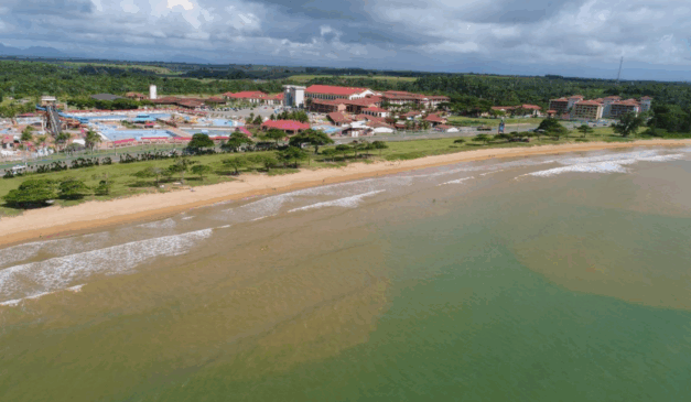 Entre os serviços incluídos na proposta estão coleta de lixo, varrição de ruas, jardinagem, paisagismo, manejo de áreas verdes e ações específicas como a remoção de baleias encalhadas. Foto: Divulgação/Prefeitura de Aracruz
