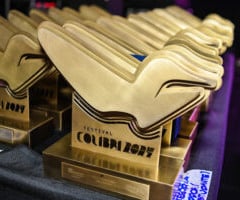 38ª edição do Festival Colibri 2025