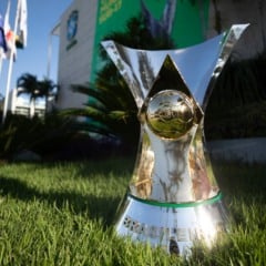 Troféu do Brasileirão. Taça