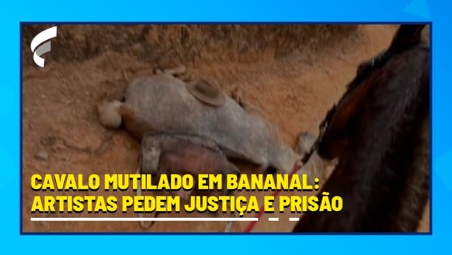 Cavalo mutilado em Bananal: artistas pedem justiça e prisão