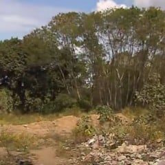 Região de mata onde o corpo foi encontrado. Foto: TV Vitória/Reprodução