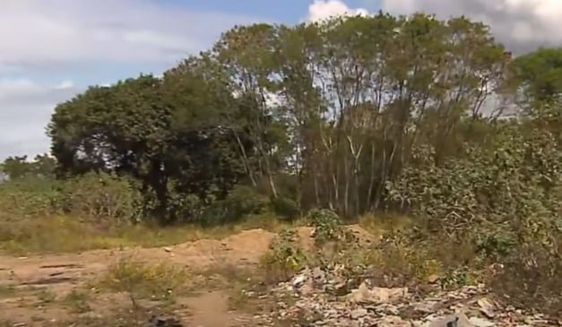 Região de mata onde o corpo foi encontrado. Foto: TV Vitória/Reprodução