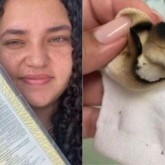 Foto: Folha Vitória/ Montagem 