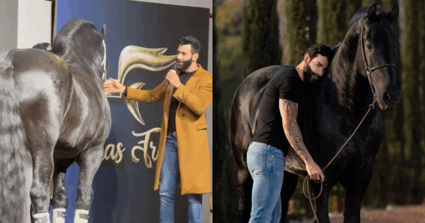 Animal da raça Friesian, criado no haras do cantor sertanejo foi destaque em leilão de luxo