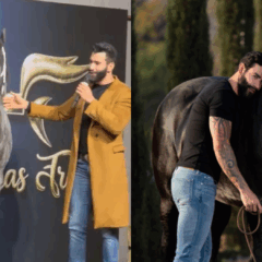 Animal da raça Friesian, criado no haras do cantor sertanejo foi destaque em leilão de luxo