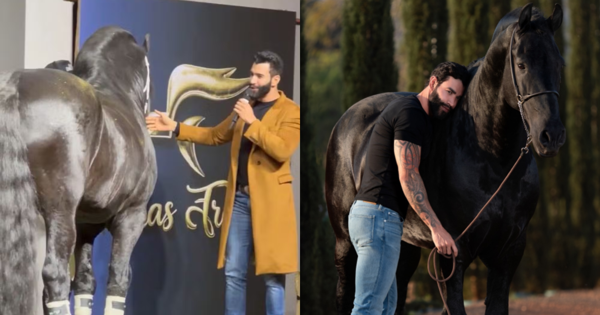Animal da raça Friesian, criado no haras do cantor sertanejo foi destaque em leilão de luxo