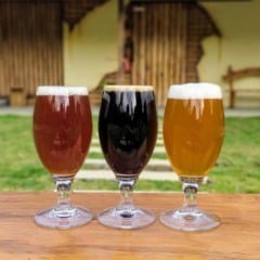 Cerveja artesanal produzida no ES ganha destaque no país Crédito: Piwo/Divulgação
