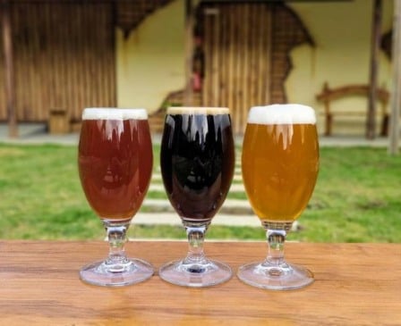 Cerveja artesanal produzida no ES ganha destaque no país Crédito: Piwo/Divulgação

