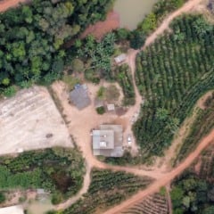 Foto: Policia Civil/ Divulgação 