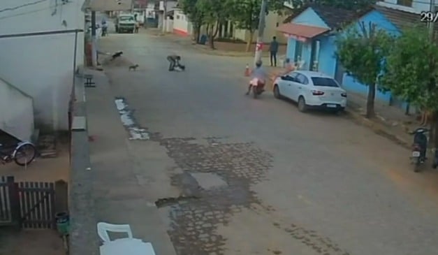 Foto: Câmera de videomonitoramento/ Reprodução  
